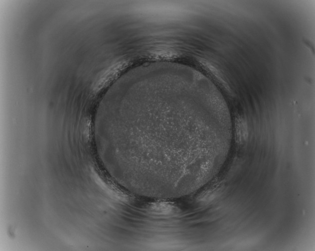 X0000103290451200809051503