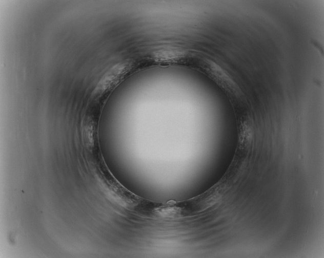 X0000103290452200809051503