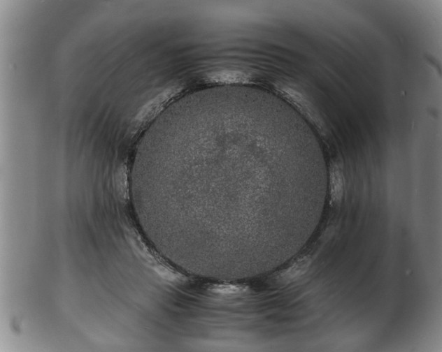 X0000103290453200809051503