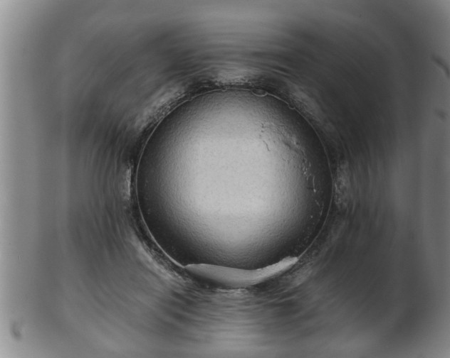 X0000103290454200809051503