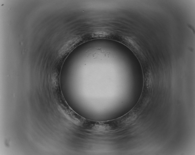 X0000103290455200809051503