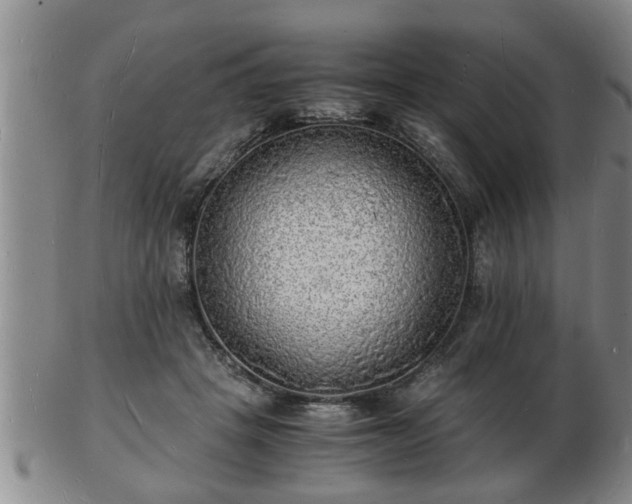 X0000103290457200809051503