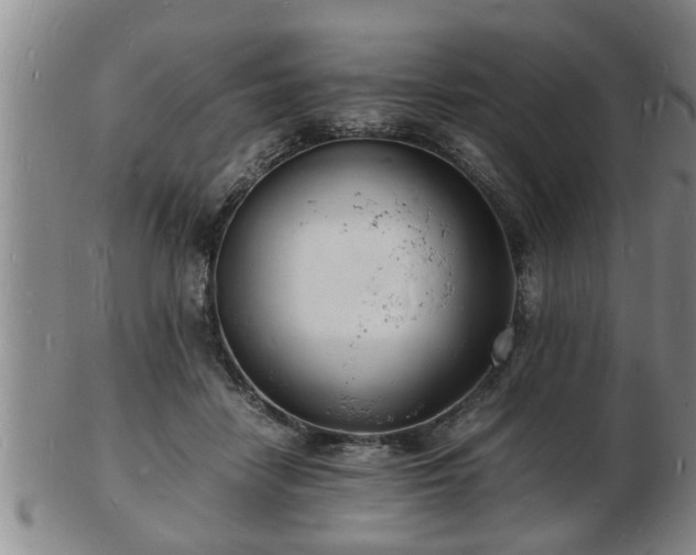 X0000103290458200809051503