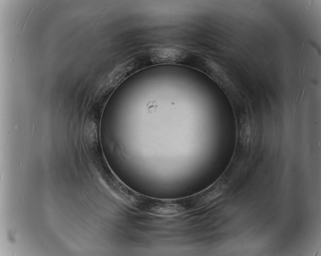 X0000103290459200809051503