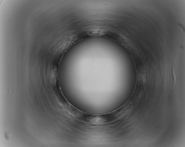 X0000103290460200809051503