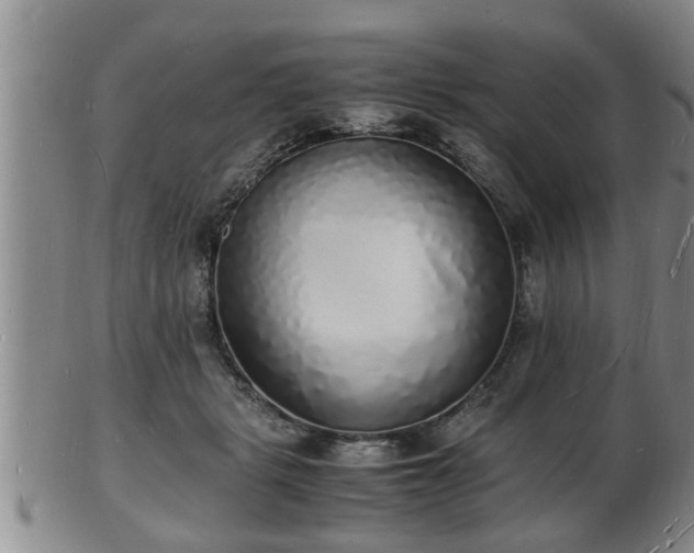 X0000103290461200809051503