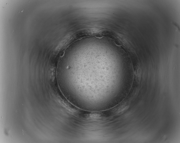 X0000103290462200809051503