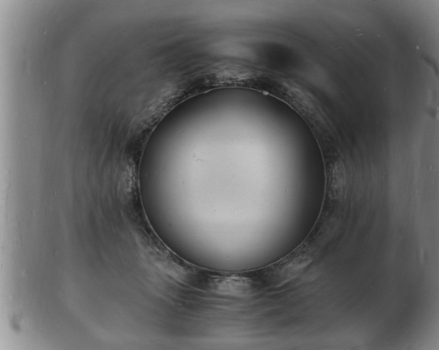 X0000103290463200809051503