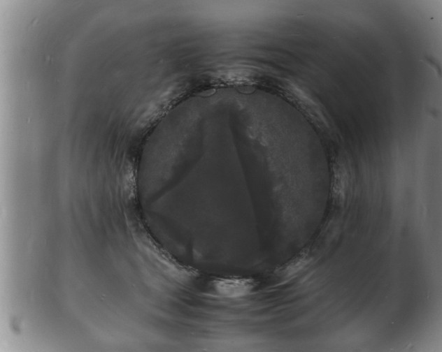 X0000103290465200809051504