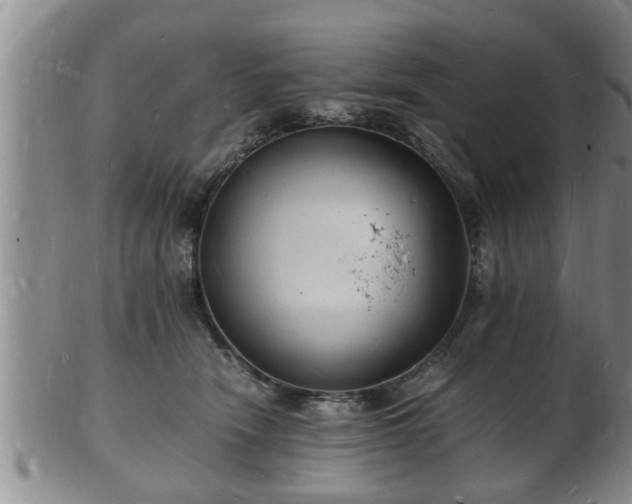 X0000103290466200809051504