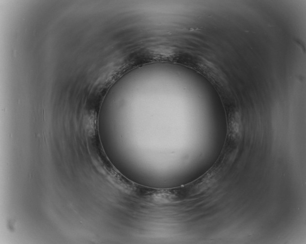 X0000103290468200809051504