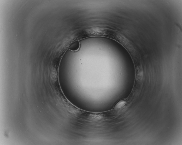 X0000103290469200809051504