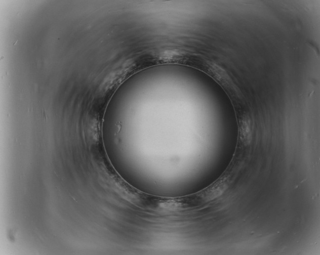 X0000103290470200809051504