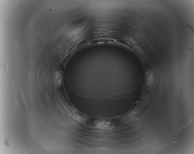 X0000103290471200809051504