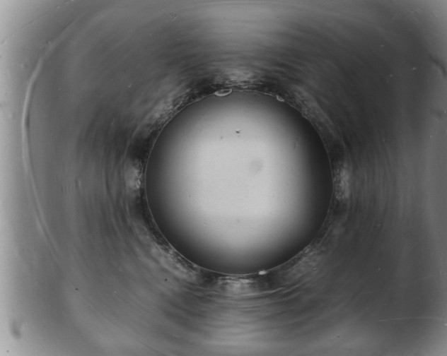 X0000103290472200809051504