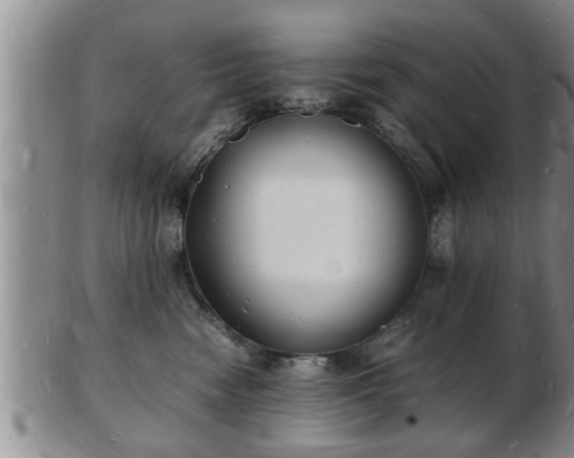 X0000103290474200809051504