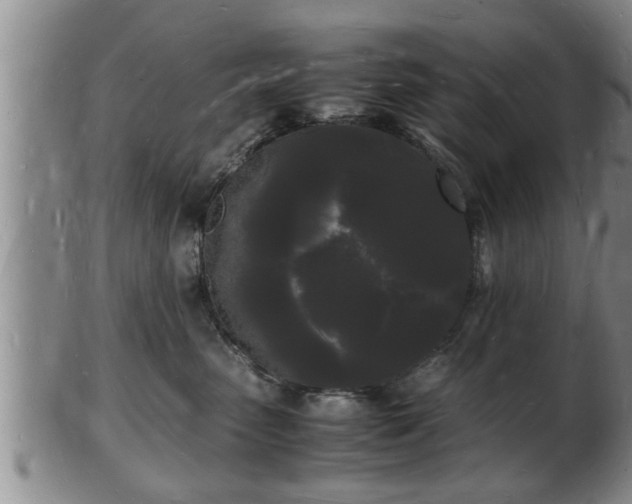 X0000103290475200809051504