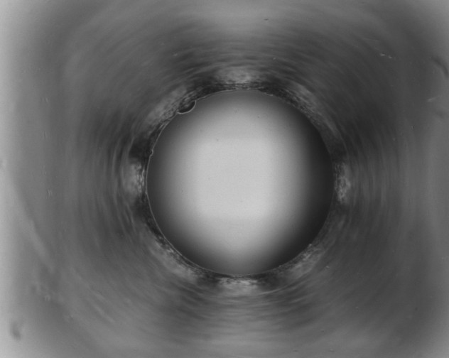 X0000103290476200809051504