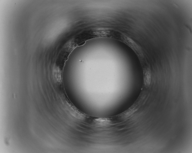 X0000103290477200809051504