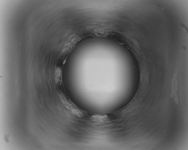 X0000103290480200809051504