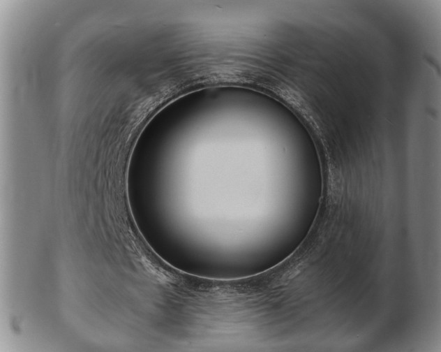 X0000103290481200809051503