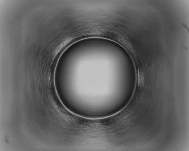 X0000103290483200809051503