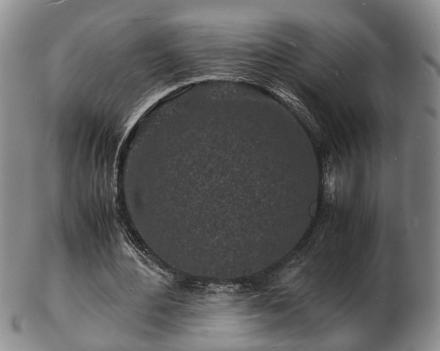 X0000103290484200809051503