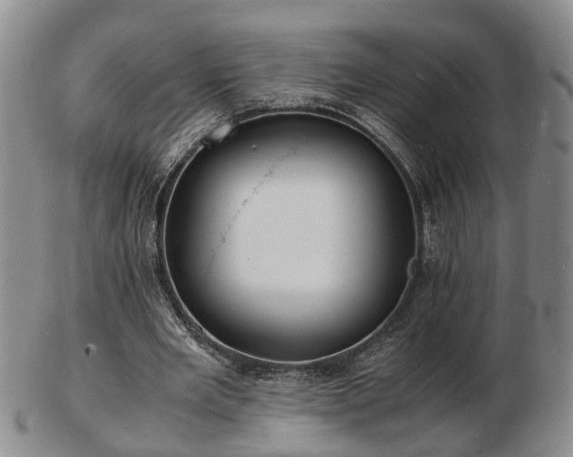 X0000103290485200809051503