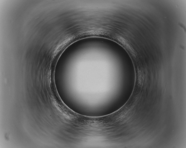 X0000103290486200809051503