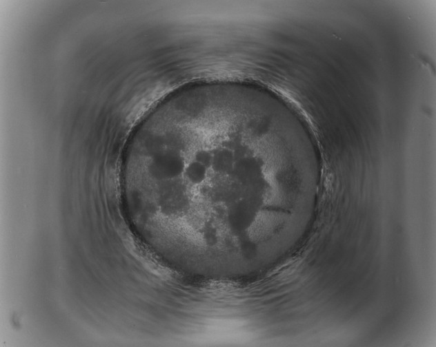 X0000103290487200809051503