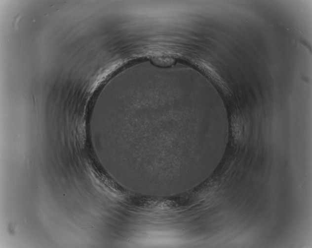 X0000103290488200809051503