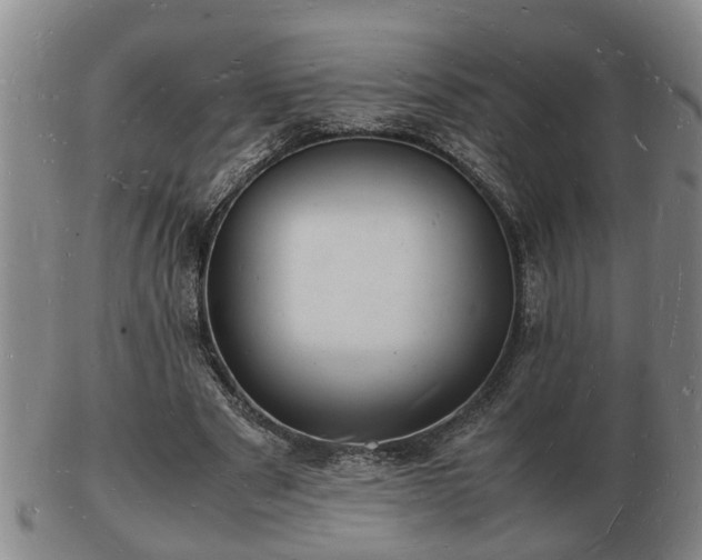 X0000103290489200809051503