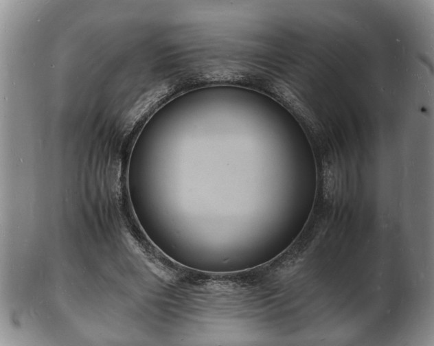 X0000103290490200809051503