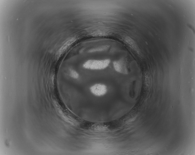 X0000103290491200809051503