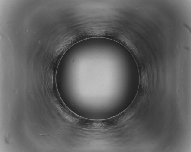 X0000103290493200809051503