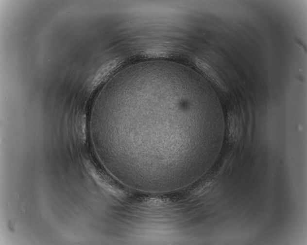 X0000103290494200809051503