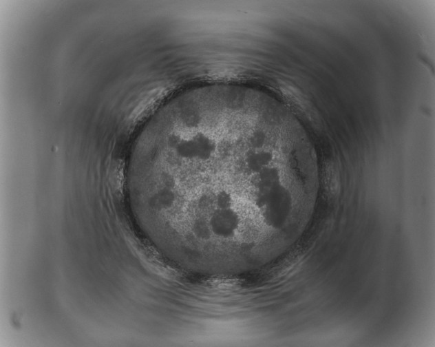 X0000103290495200809051503