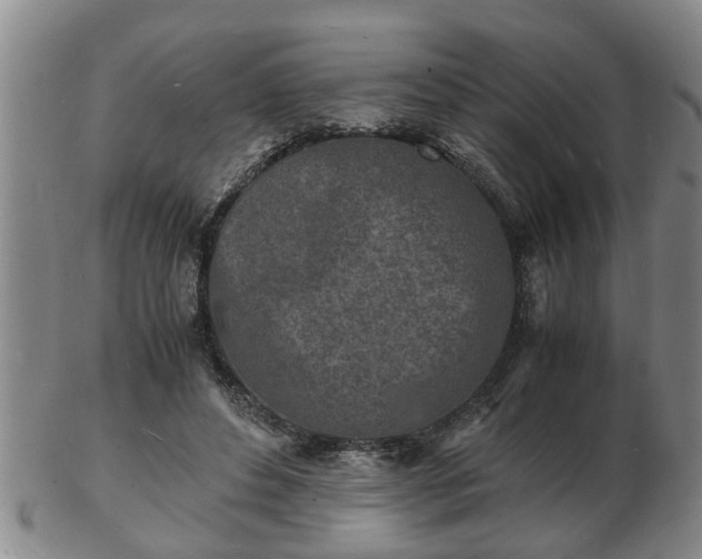 X0000103290496200809051503