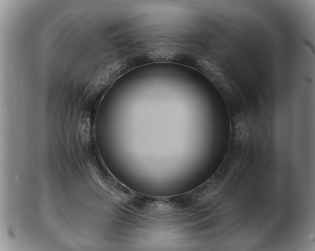 X0000103290498200809051503