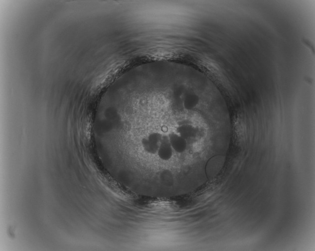 X0000103290499200809051503