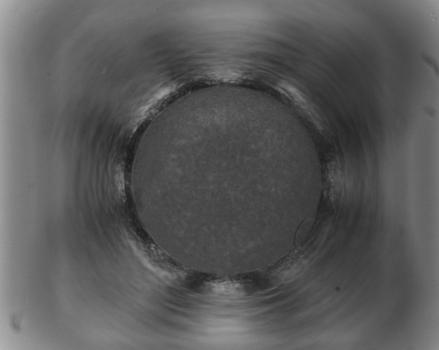 X0000103290500200809051503