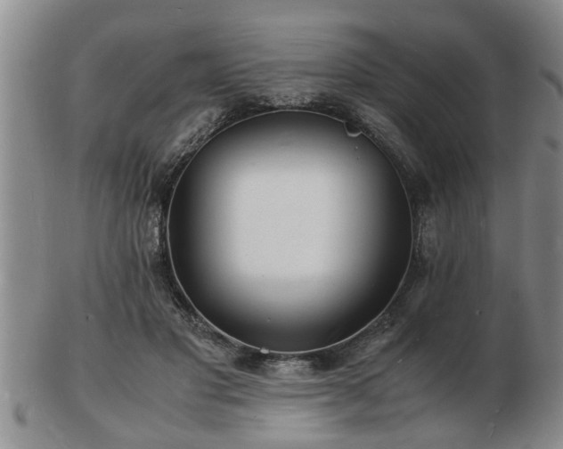 X0000103290501200809051503