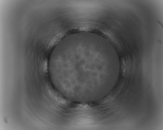 X0000103290502200809051503