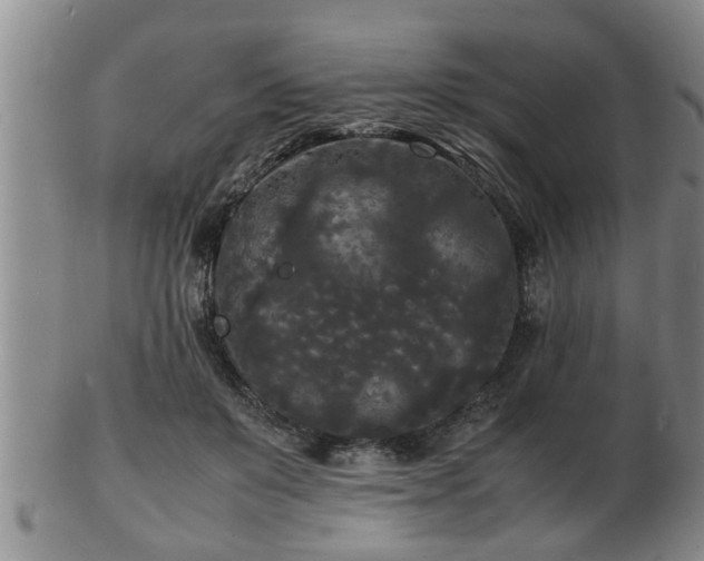 X0000103290503200809051503