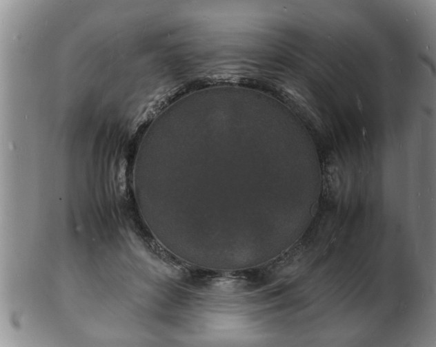 X0000103290504200809051503