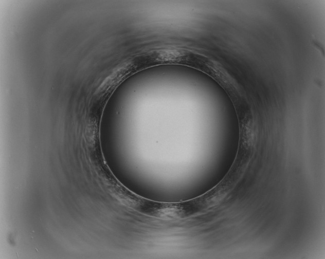 X0000103290505200809051503