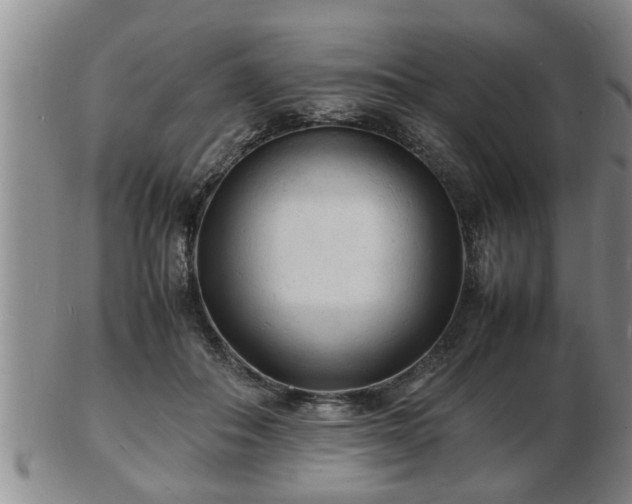 X0000103290506200809051503