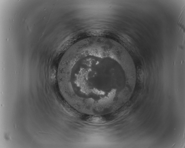 X0000103290507200809051503