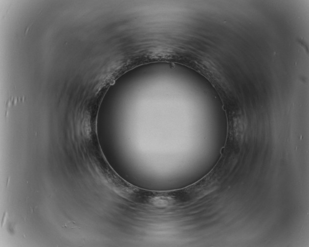 X0000103290508200809051503