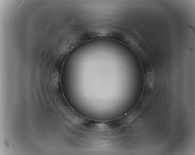 X0000103290509200809051503